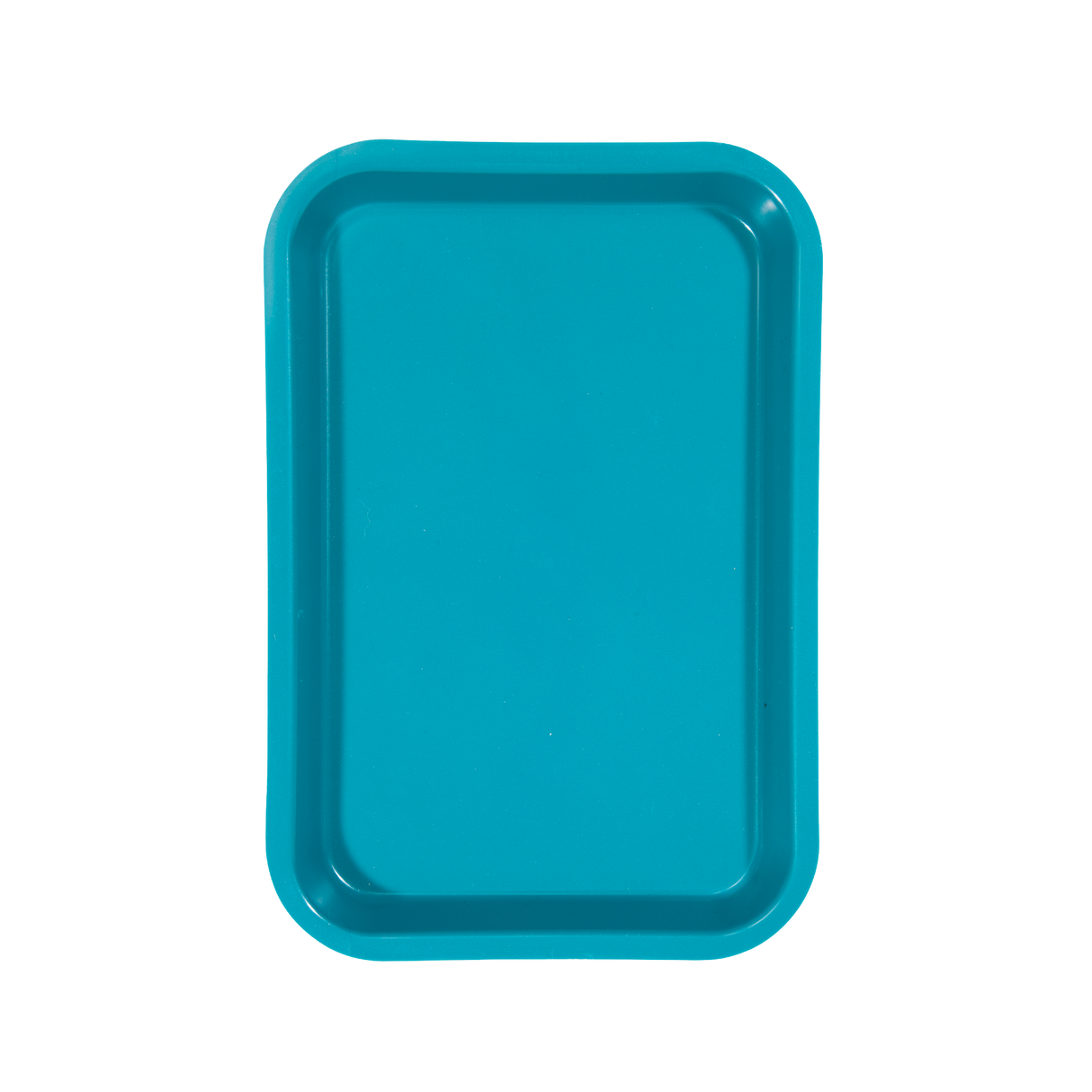 Mini-Tray-Teal-20Z101J-1 End