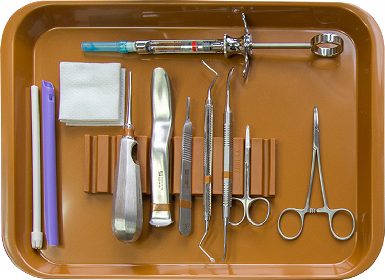 Small Organizer Tray (6 Instruments - Deep) - American Dental